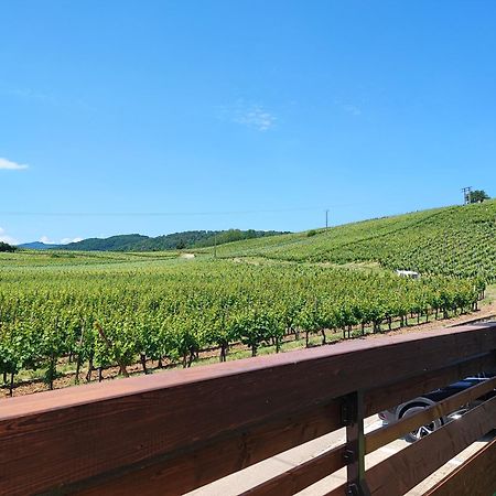 L'Altenberg Bergheim Eksteriør bilde