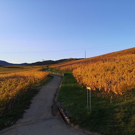 L'Altenberg Bergheim Eksteriør bilde
