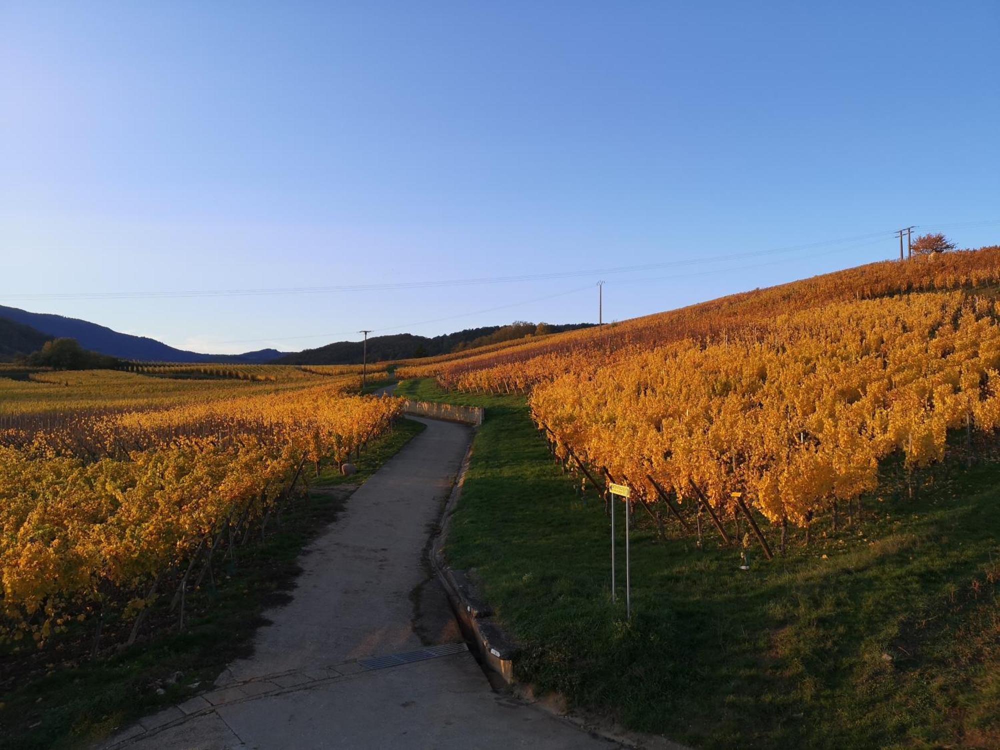 L'Altenberg Bergheim Eksteriør bilde