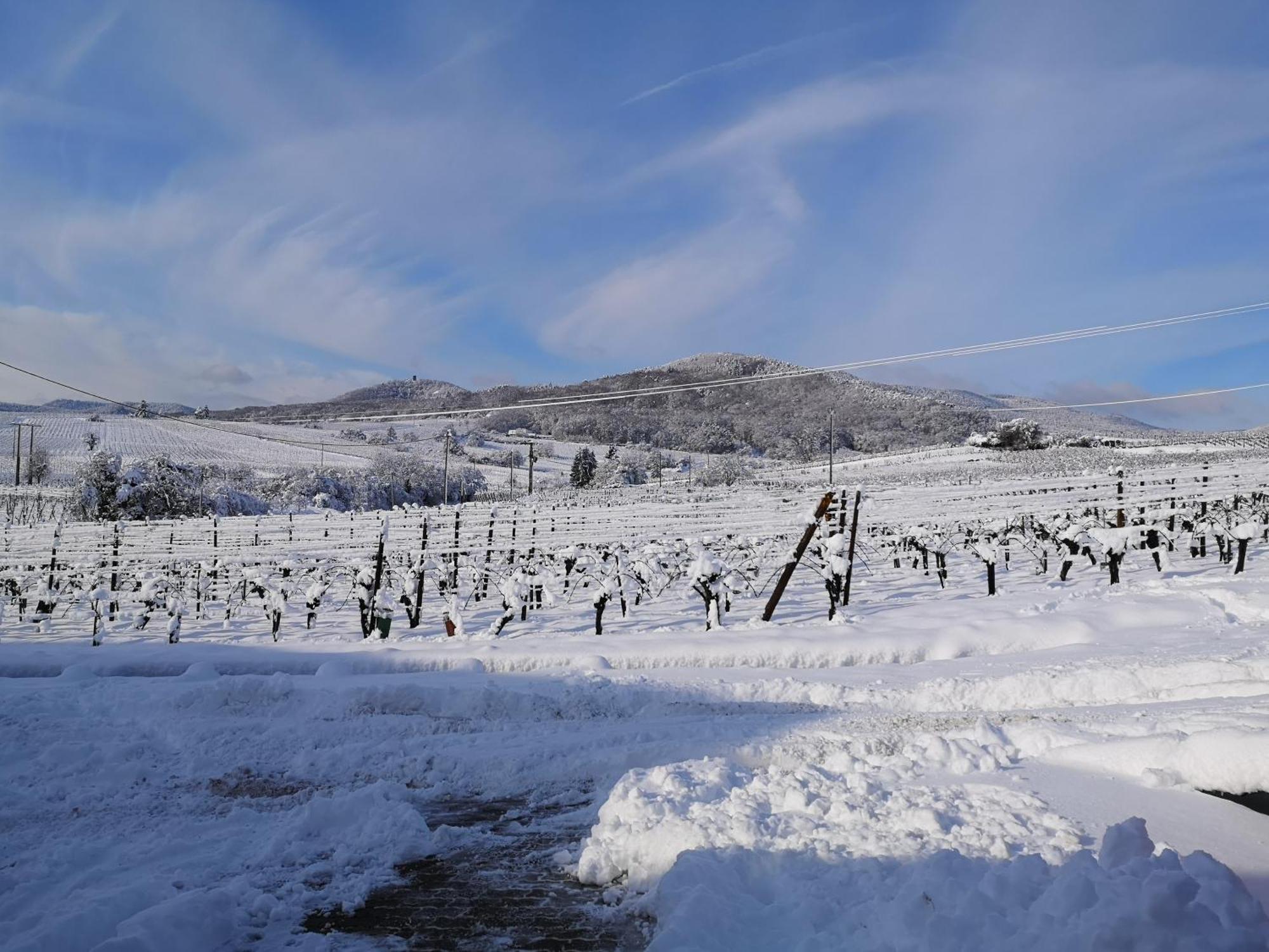 L'Altenberg Bergheim Eksteriør bilde